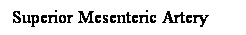Cuadro de texto: Superior Mesenteric Artery
