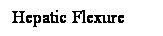 Cuadro de texto: Hepatic Flexure
