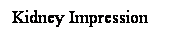 Cuadro de texto: Kidney Impression
