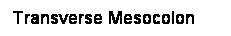Cuadro de texto: Transverse Mesocolon
