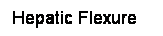 Cuadro de texto: Hepatic Flexure
