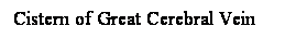 Cuadro de texto: Cistern of Great Cerebral Vein
