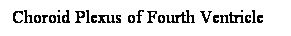 Cuadro de texto: Choroid Plexus of Fourth Ventricle

