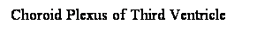 Cuadro de texto: Choroid Plexus of Third Ventricle
