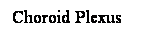 Cuadro de texto: Choroid Plexus
